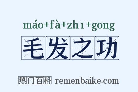 毛发之功是什么意思的图片